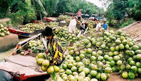 Experience Ben Tre’s safe sites with guided tours